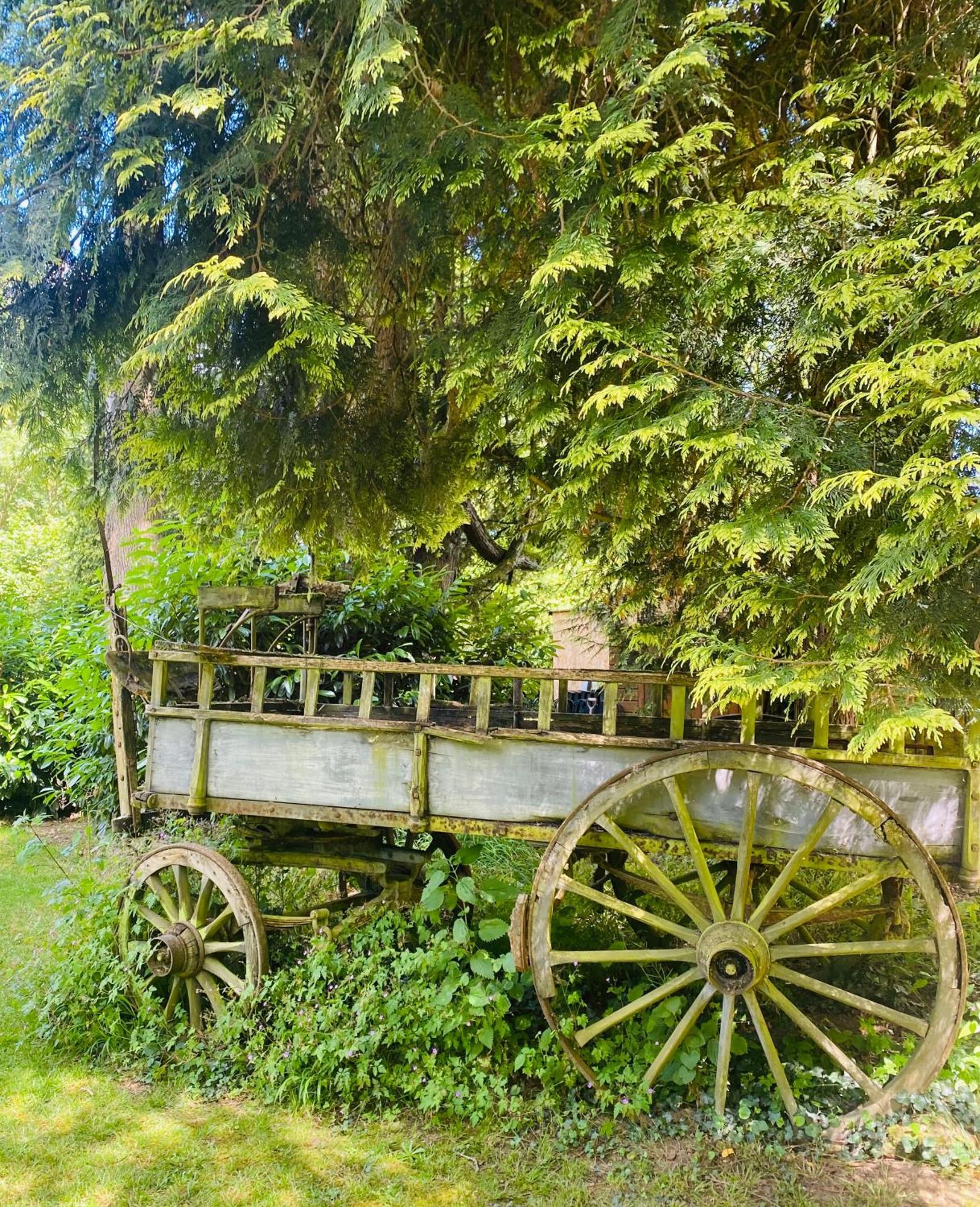 Moulin Du Fontcourt Bed & Breakfast Chasseneuil-sur-Bonnieure Bagian luar foto