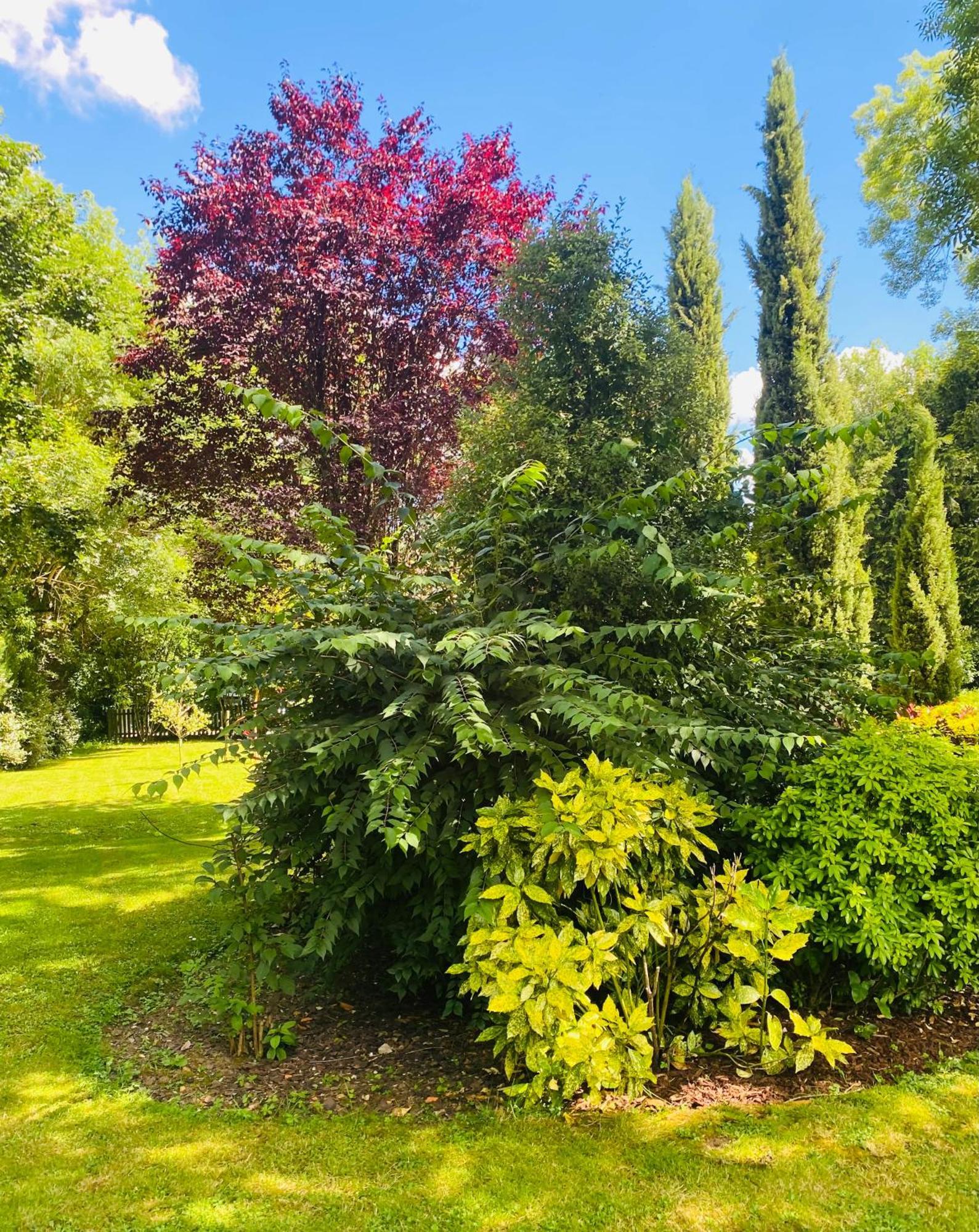 Moulin Du Fontcourt Bed & Breakfast Chasseneuil-sur-Bonnieure Bagian luar foto